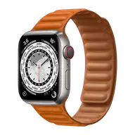 Apple Watch Series 7 41mm Titanium (GPS+Cellular)